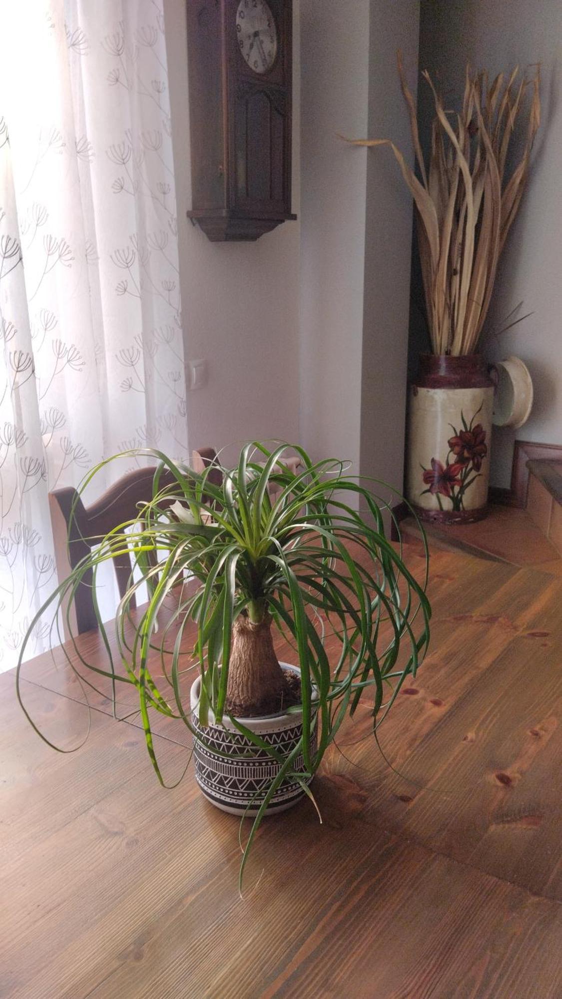 El Balcon de Villapresente Esterno foto